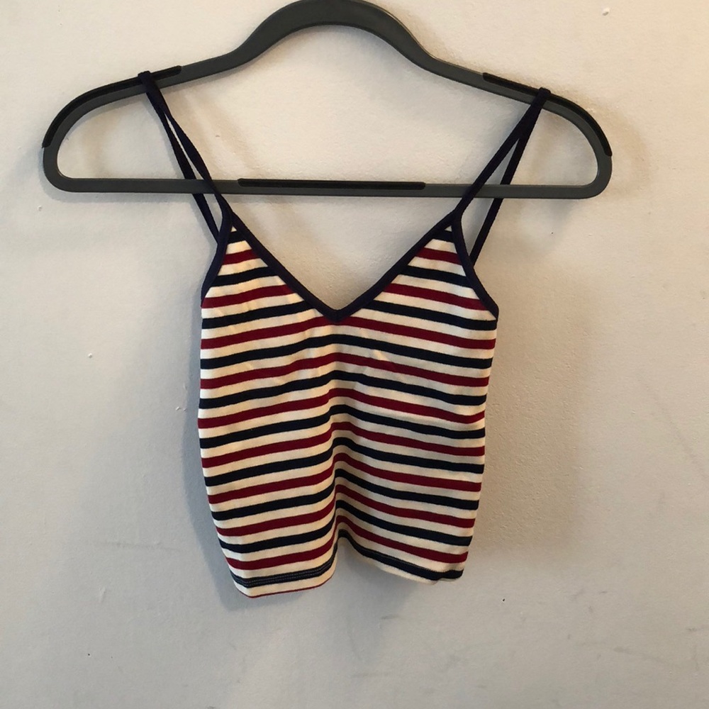 Brandy melville crop top